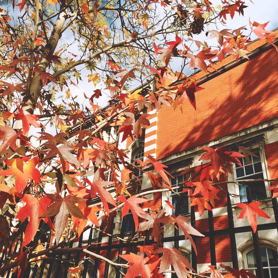 英国留学签证过期应该如何续签？