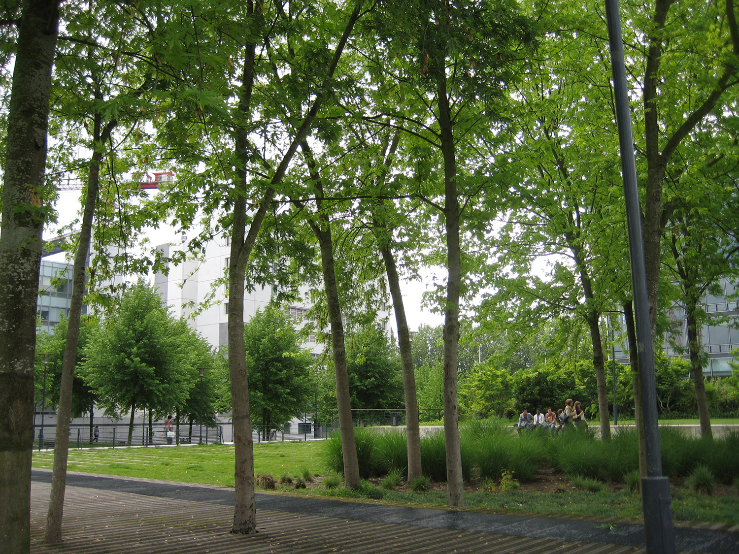 荷兰留学丨教育专业哪国强？来这里留学享受全球最具价值的教育体系