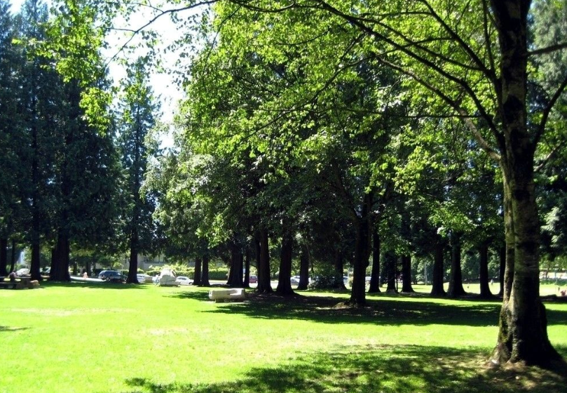 准备回国的朋友注意了！中国大使馆官宣最新消息！