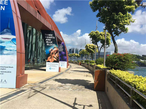 拿到offer之后要做什么？当然是办理新加坡留学签证！