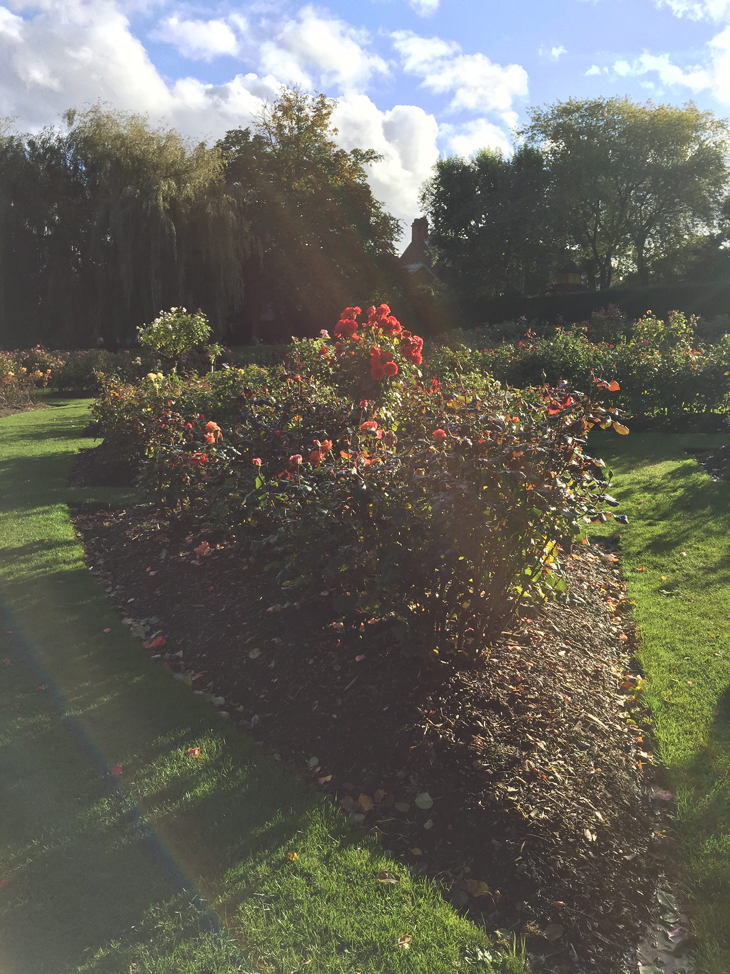  Novavax疫苗即将在英获批，英国多所大学重新实施校园内强制口罩令！