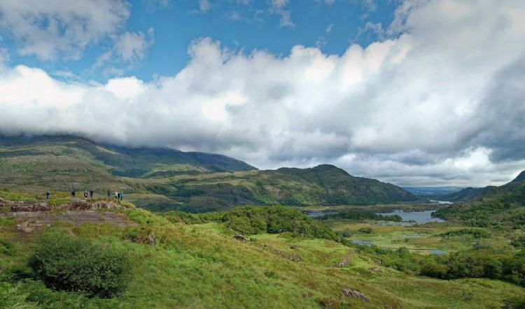 爱尔兰拟推出解封试点，电影院等文娱活动或在6月逐步回归