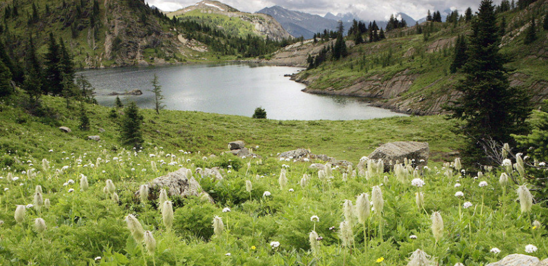 本科留学加拿大费用你了解哪些？