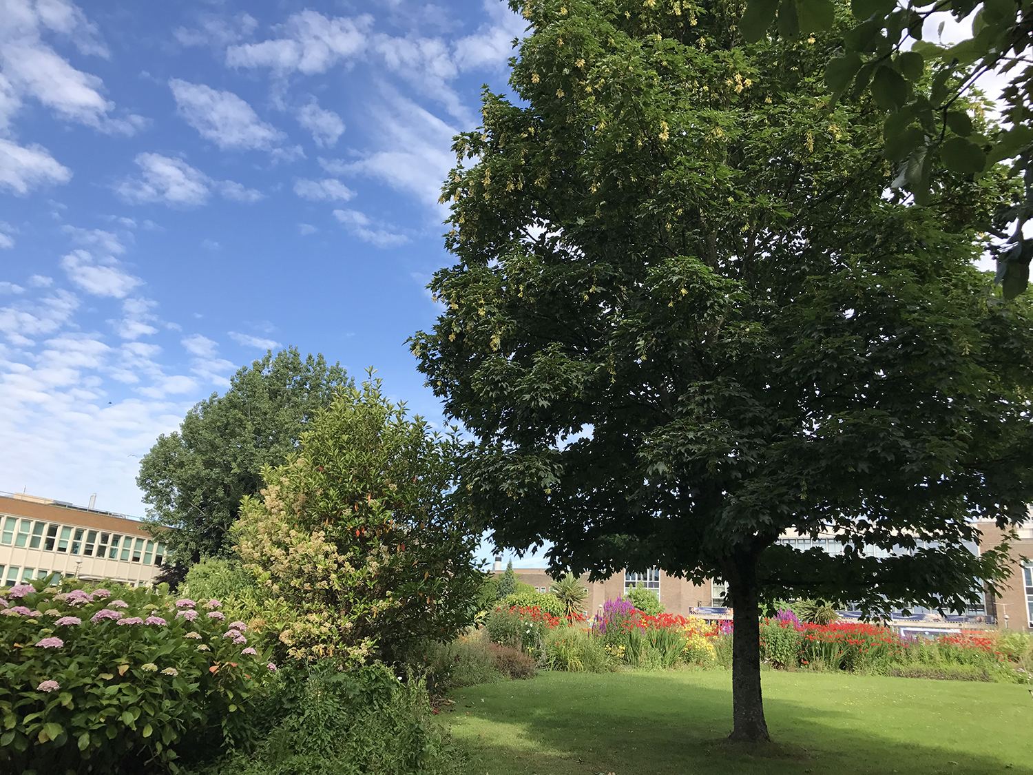 英国留学花费究竟需要多少？你的预算还充足吗？