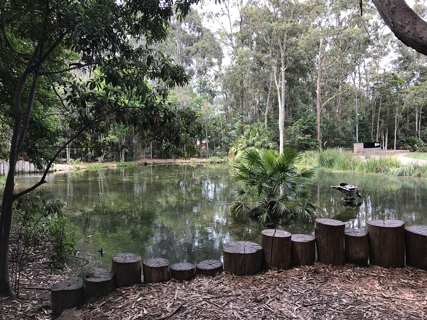 留学生赴悉尼科技大学读本科，还能全免本科阶段学费？