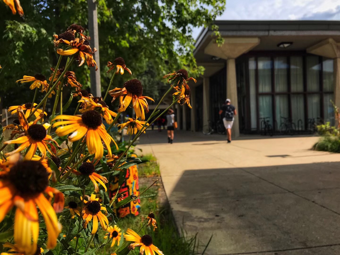 今年两会的留学生政策有多强？我都为你们总结好了！