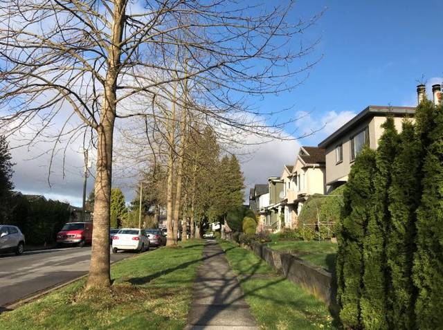 欧盟正式启用数字疫苗护照！盘点各国入境政策新变化！