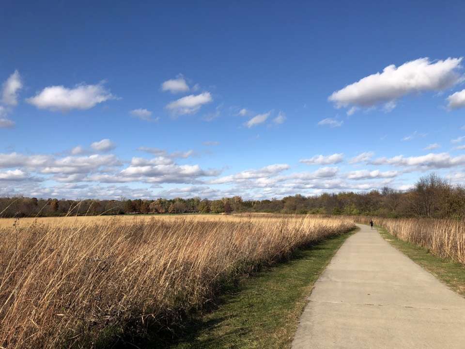 美国本科申请三大条件盘点！这些留学条件你得具备！