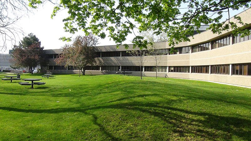 申请加拿大留学签证的时候需要注意哪些？