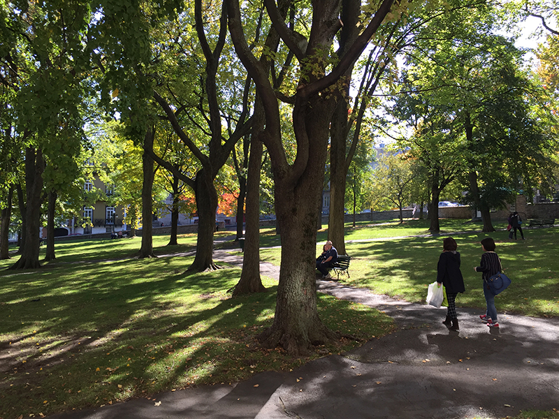 加拿大专业分类，可选择哪些好的大学？