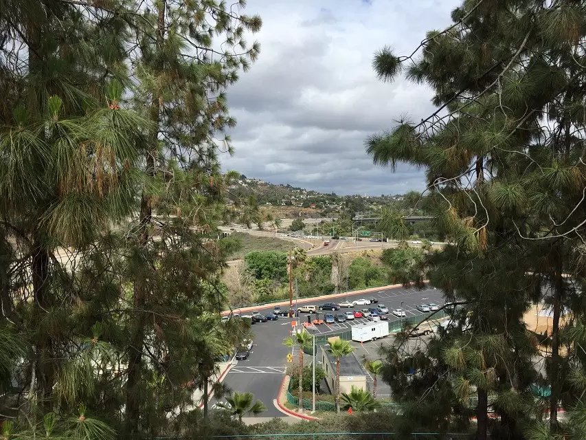 美国护理专业全解析及院校推荐，一起看看吧！