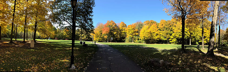 你知道吗？实际上在澳洲的偏远地区生活更滋润！