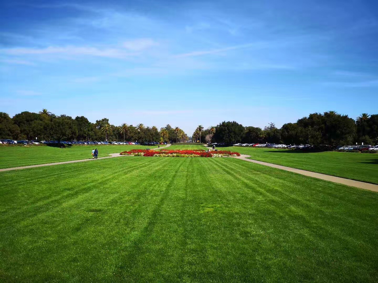 揭秘美国研究生留学11个录取内幕！一起来看看