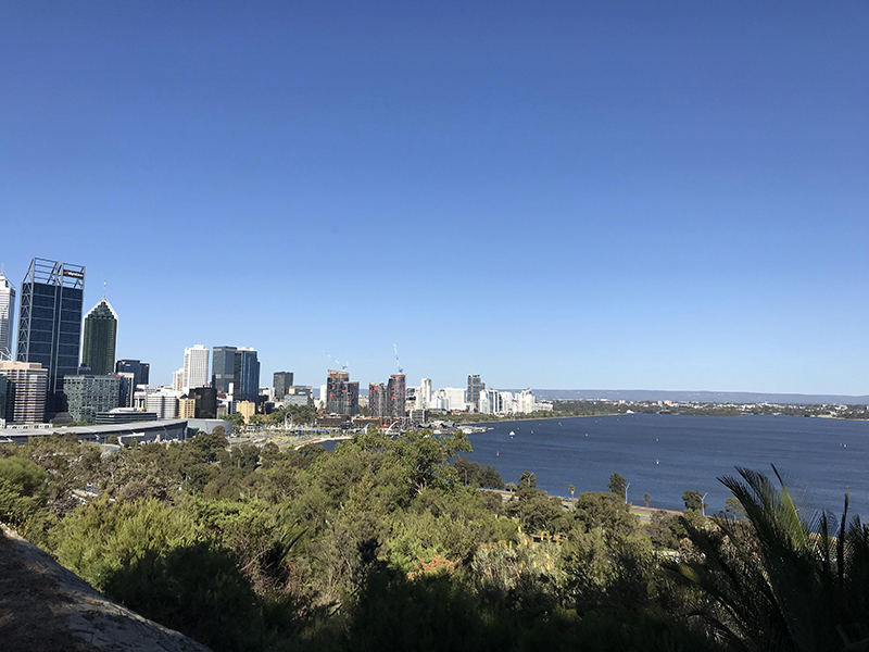 澳洲留学生再添福利！毕业生工作签证-PSW二签开放申请