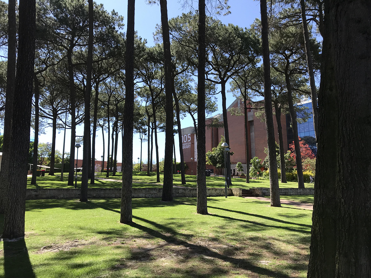 好消息！澳洲政府让步，配偶签申请者全部受益！终于省事儿了