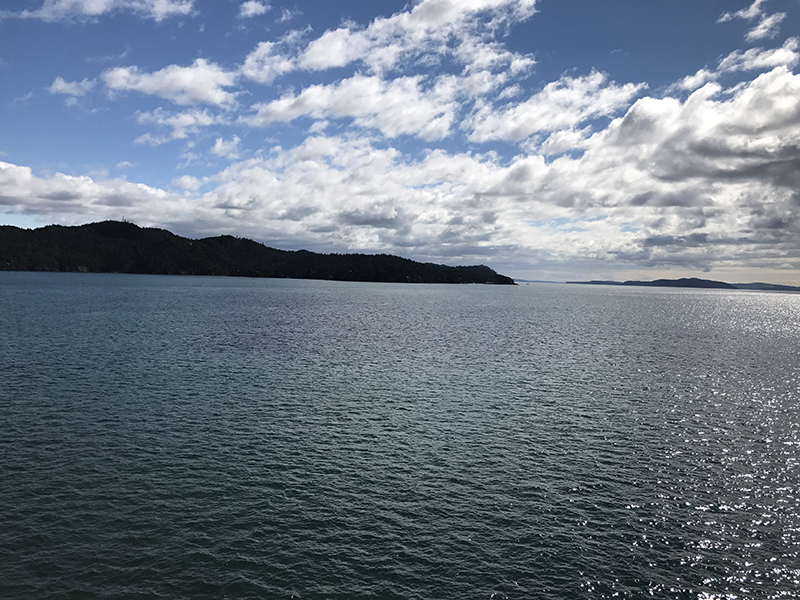 加拿大留学奖学金主要有哪些？