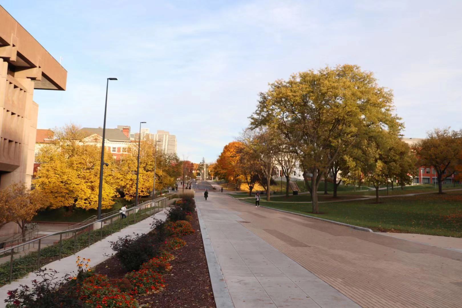 突发！川普发狠招：H-1B等工签暂时禁止入境美国！