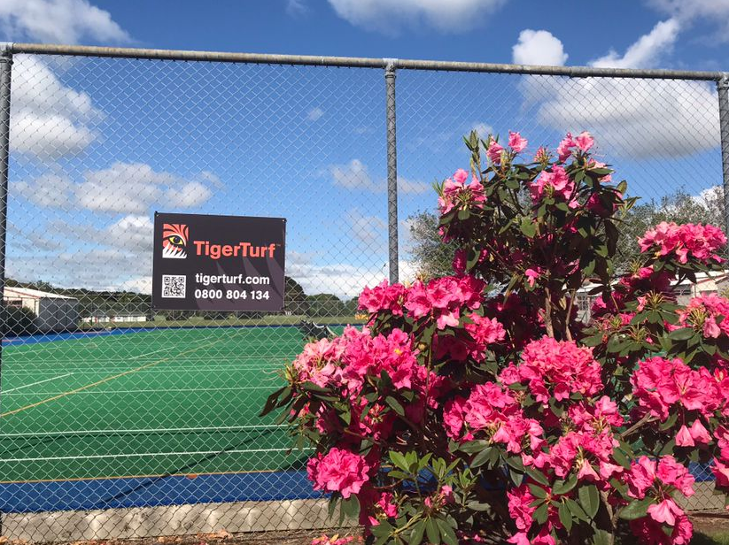 如何申请新西兰5年多次往返签证？一人交钱，全家拿签证！