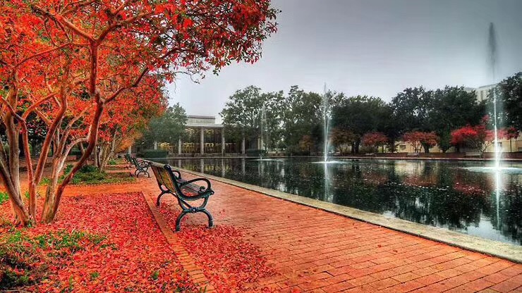 疫情之后，突发情况必须回到美国签证该如何申请？