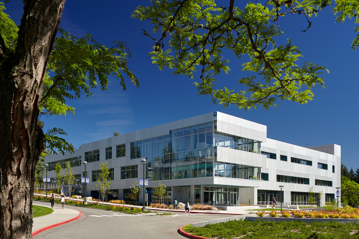 美国留学费用太高，教你轻松获取奖学金！