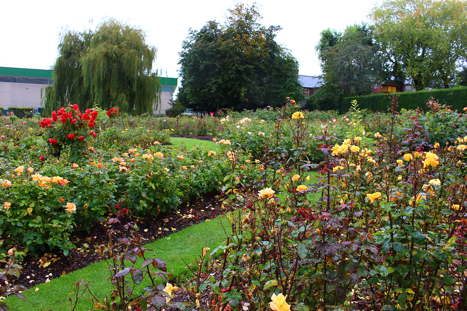 去英国留学读书的热门专业解析！