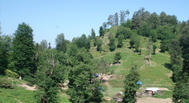 10月30日后的留学生入境转机新规！打国产疫苗如何在加拿大境内转机？