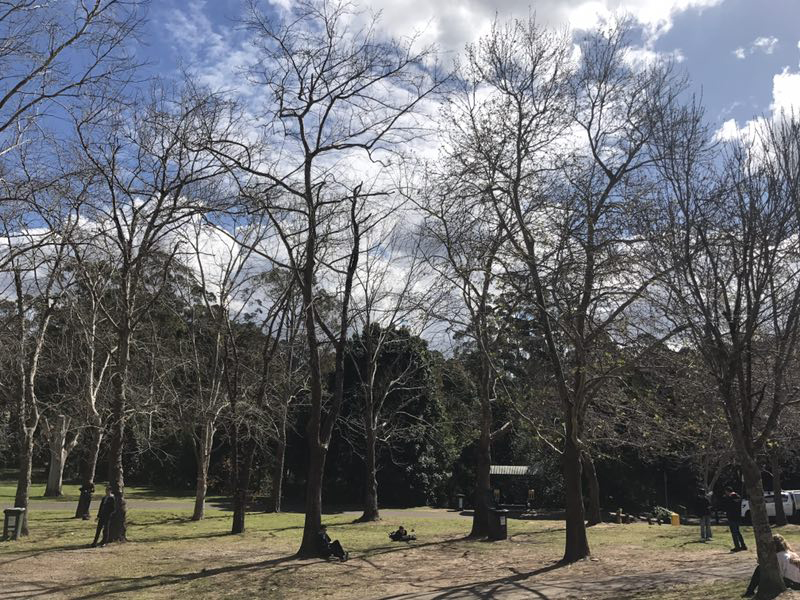 在澳留学生可以申请哪些奖学金