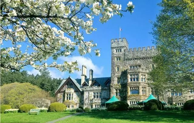 最新！加拿大各省旅行规定！