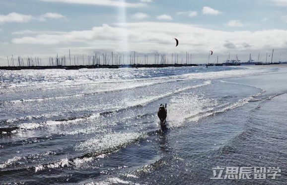 澳洲研究生奖学金有哪些？