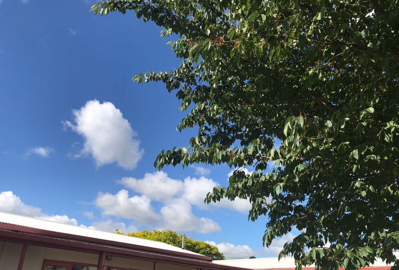 新西兰毕业生工作签证政策完整解读