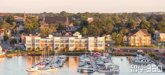 加拿大奖学金多不多？其实挺多的，就是本科的少了点！