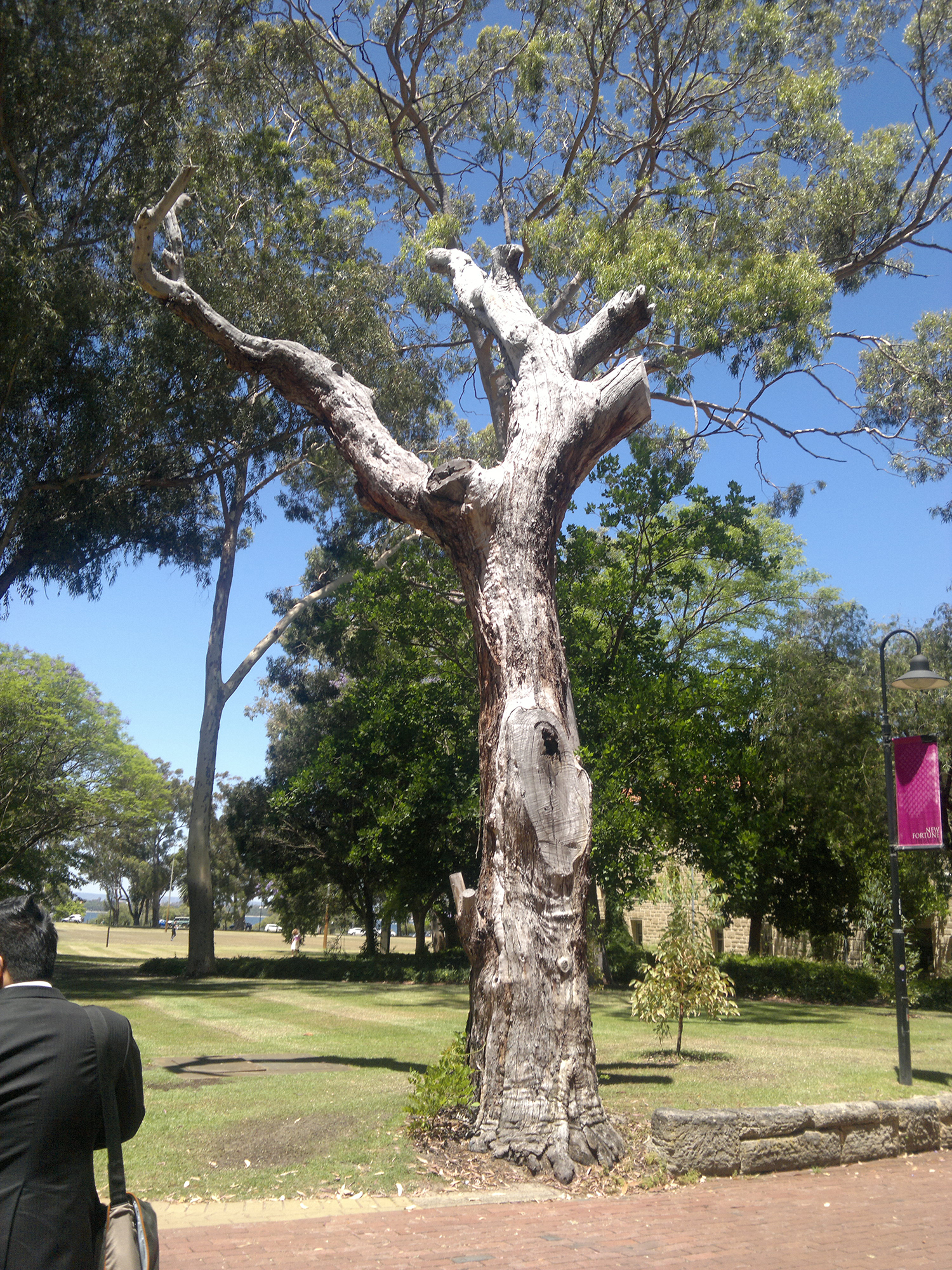 澳洲华人注意!这些变化将影响我们收入!多种签证降价! 澳洲华人注意!这些变化将影响我们收入!多种签证降价!