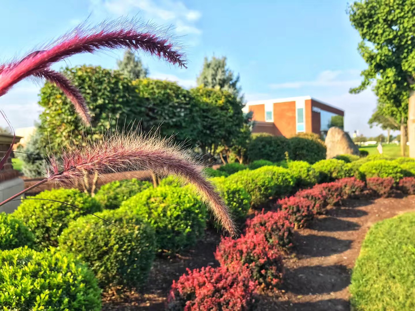 美国教育学专业有哪些分类？