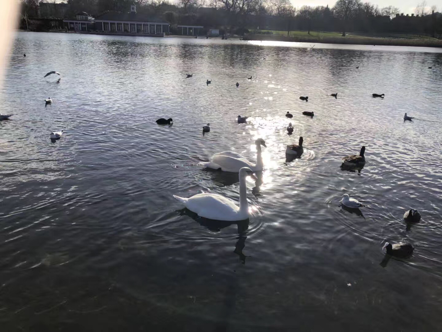 英国留学一年费用需要多少？