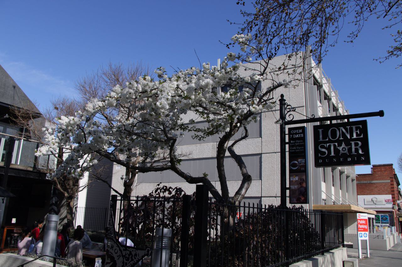 2021新西兰留学签证申请材料清单与注意事项