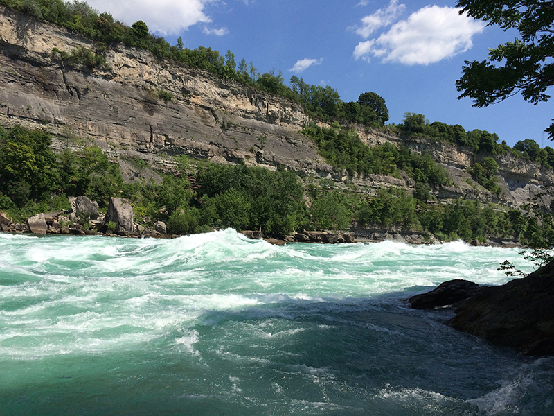 去加拿大留学，有哪些高就业率的专业？