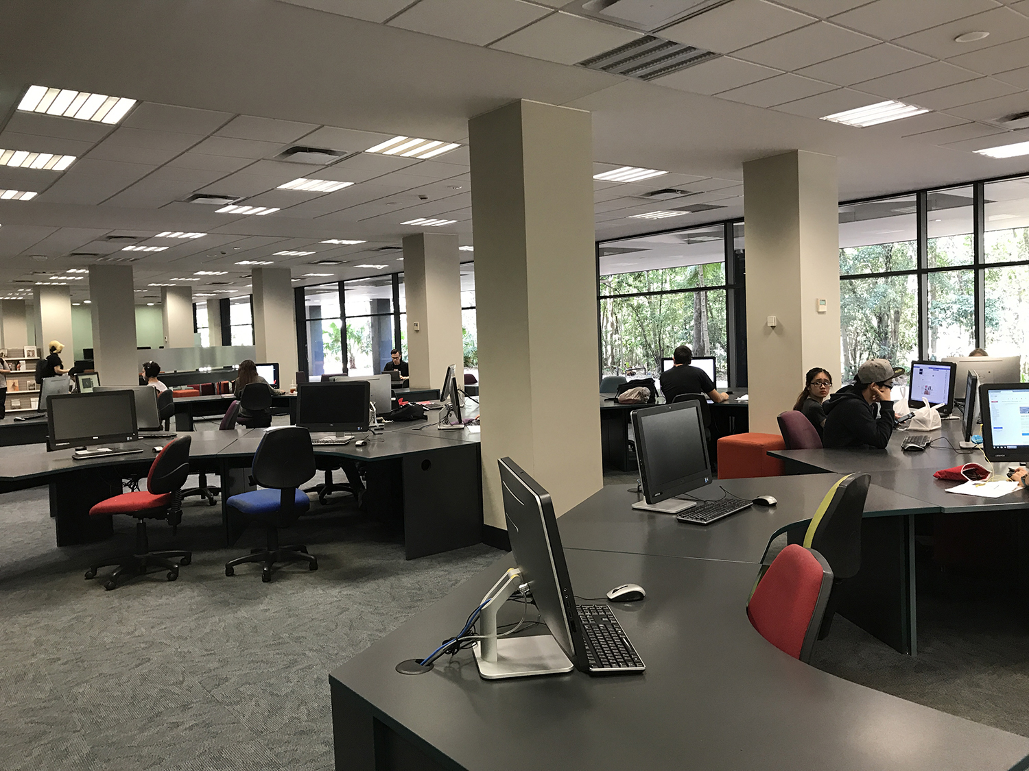 新财年最大赢家！联邦政府免费送工签！