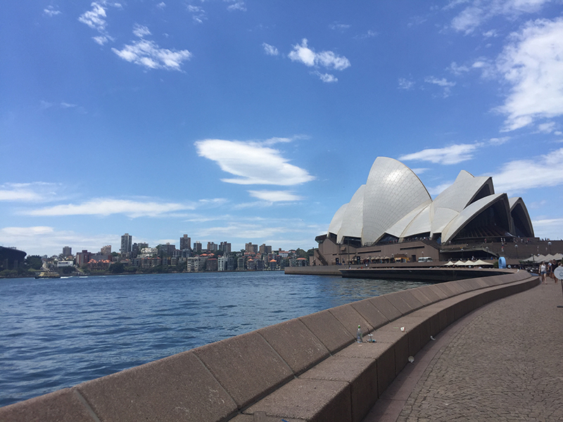 官宣！澳优先技术移民再添22员，多个华人热门专业上榜！