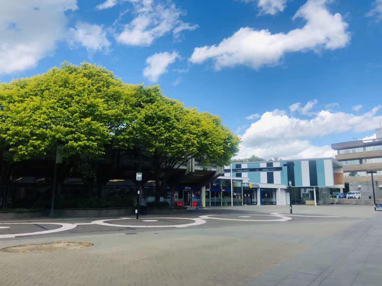 去新西兰留学读本科，申请条件是什么？申请材料有哪些？