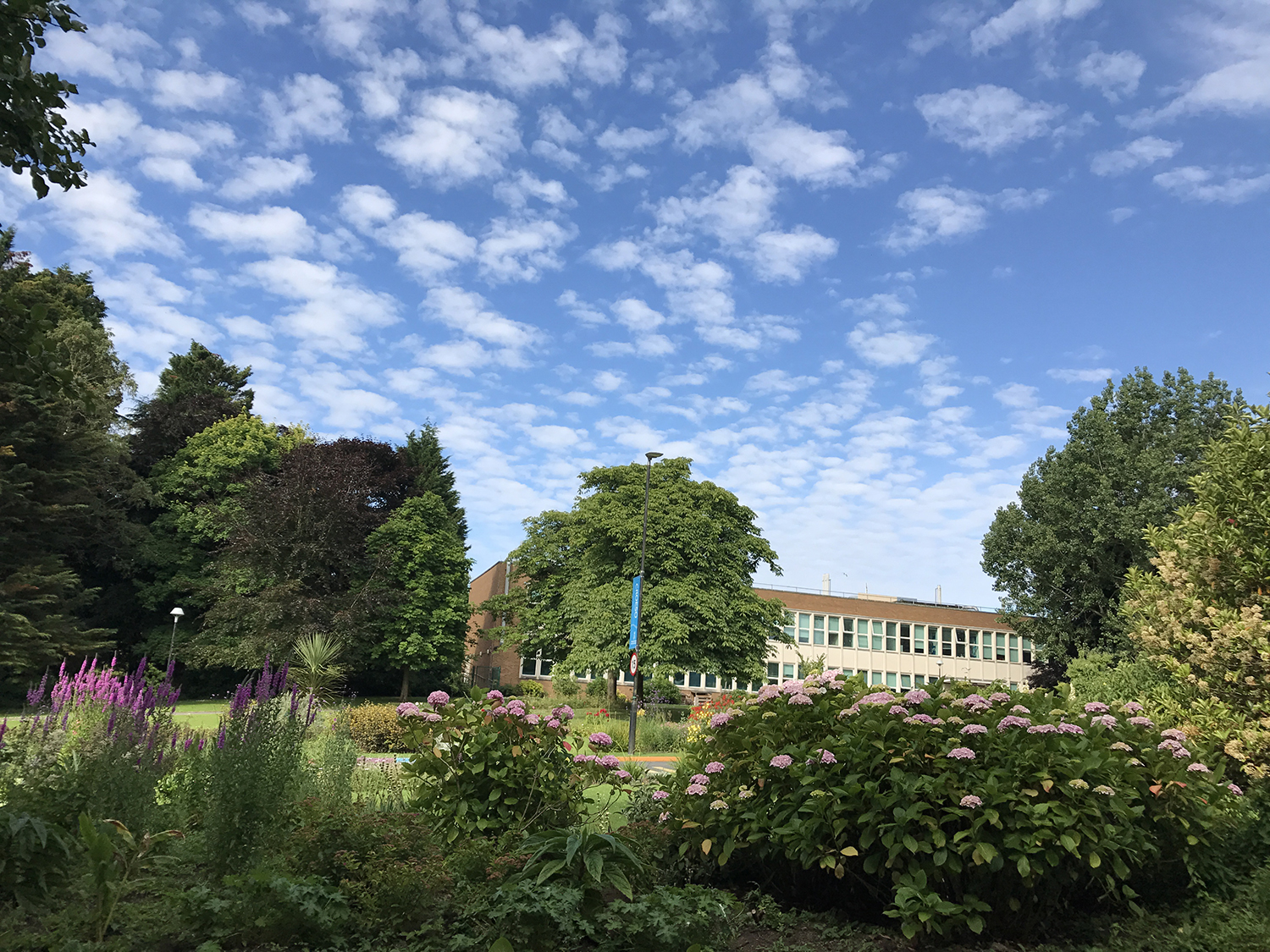 如何顺利办理签证？完善的申请材料促使顺利过签+留学英国！