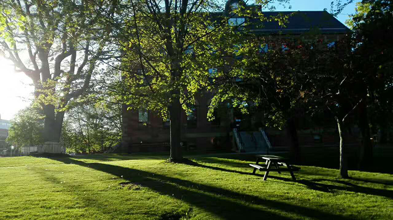 临时居民亲属入境加拿大要求放宽！境内移民机会再次增加