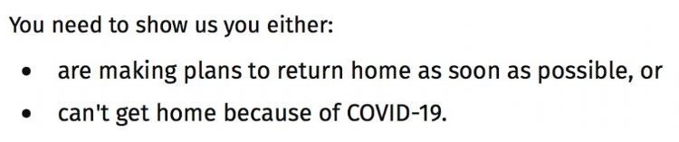 新西兰旅游签证也可以领补助金！2月28日就要结束申请了！