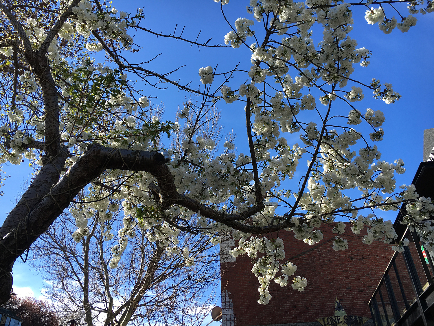 这些会成为让你不得不来新西兰留学的理由！