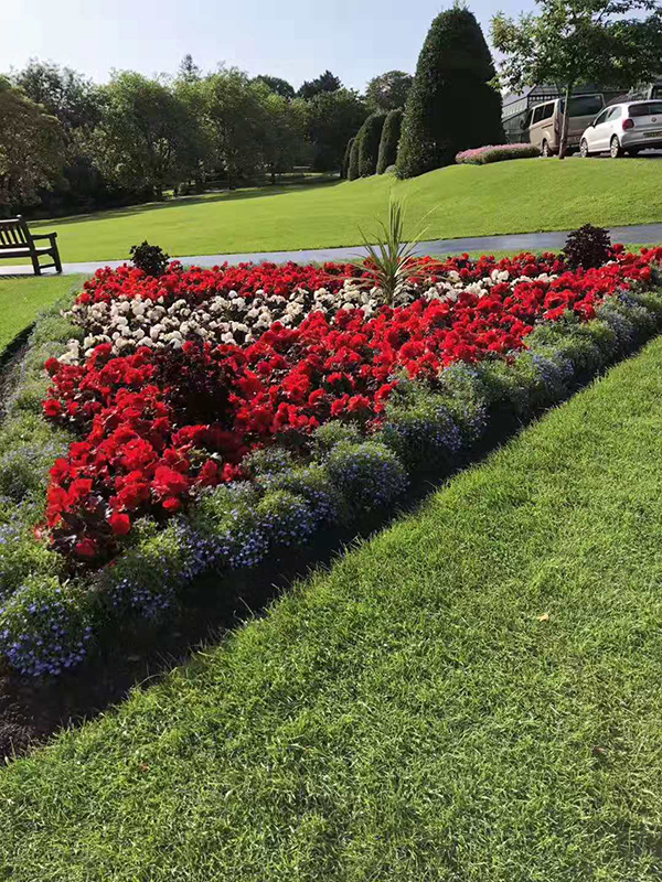 【英国留学】英国奖学金申请有哪些种类？申请条件是什么？