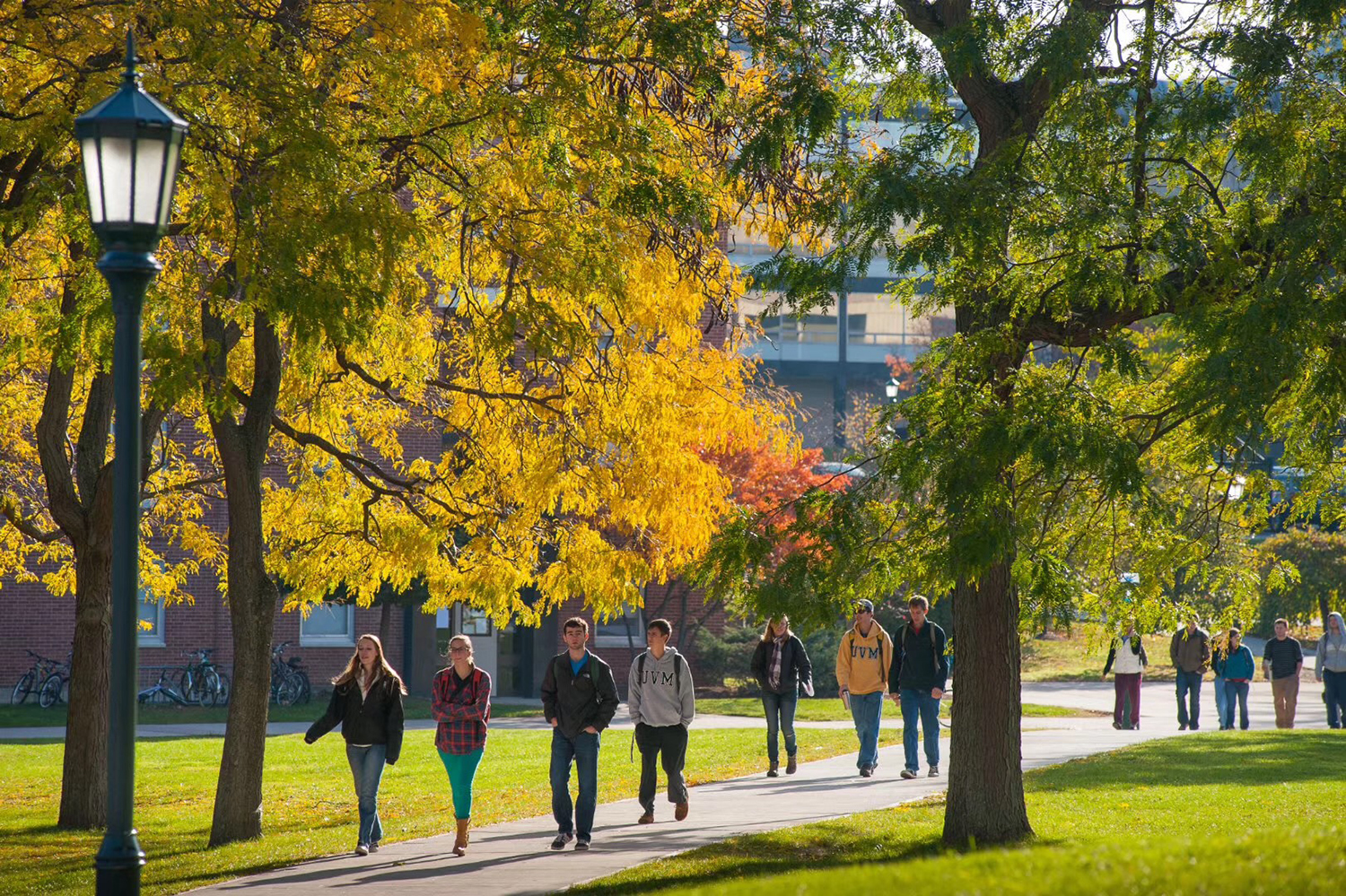 美国本科转学与研究生直申，该如何选择？